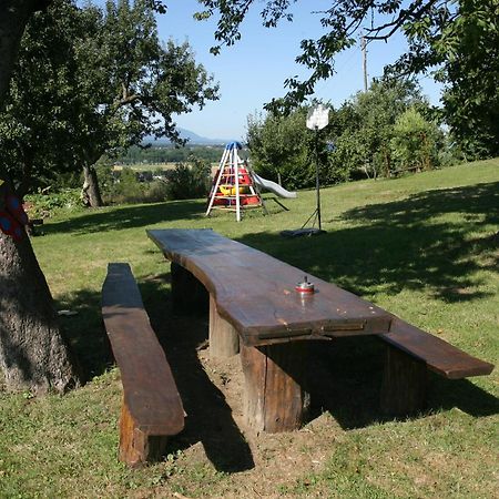 Panorama B&B Ptuj Exteriör bild