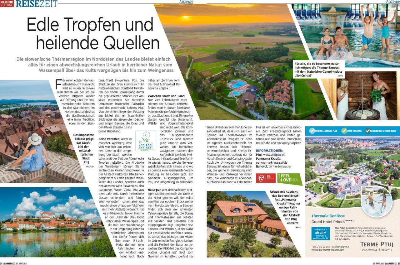 Panorama B&B Ptuj Exteriör bild