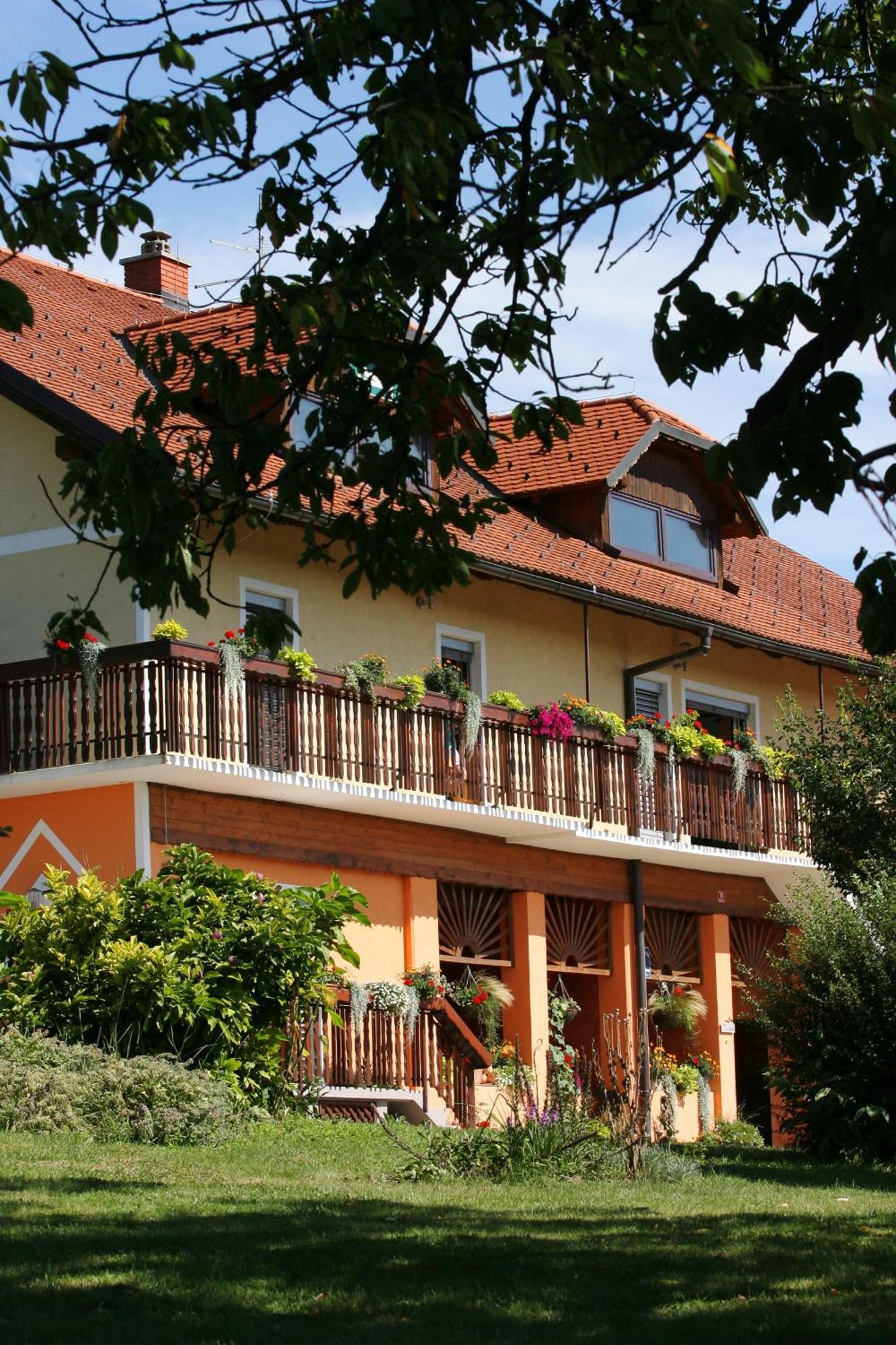 Panorama B&B Ptuj Exteriör bild