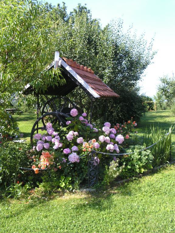 Panorama B&B Ptuj Exteriör bild