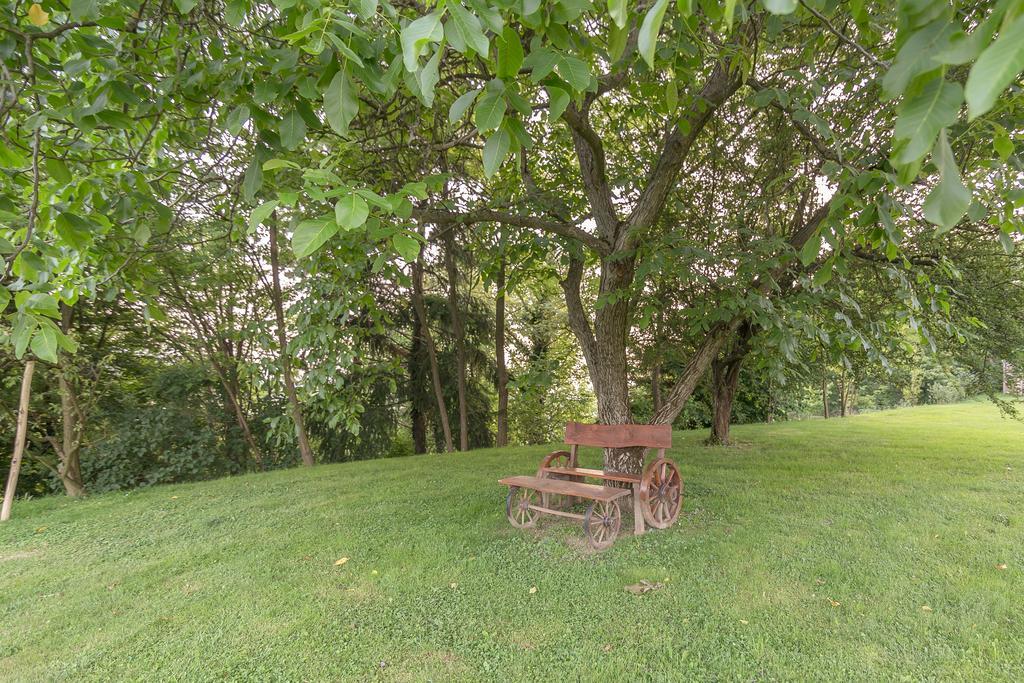 Panorama B&B Ptuj Exteriör bild