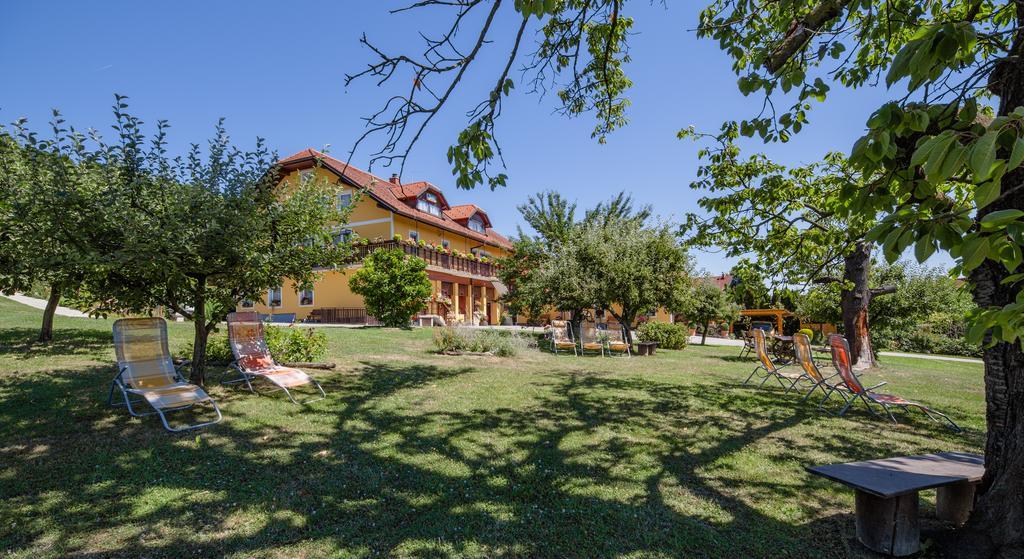 Panorama B&B Ptuj Exteriör bild