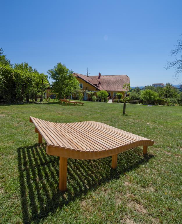 Panorama B&B Ptuj Exteriör bild
