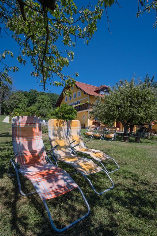 Panorama B&B Ptuj Exteriör bild