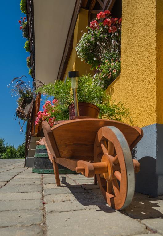 Panorama B&B Ptuj Exteriör bild