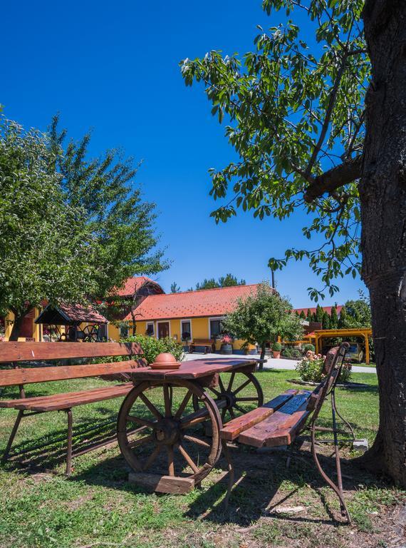 Panorama B&B Ptuj Exteriör bild