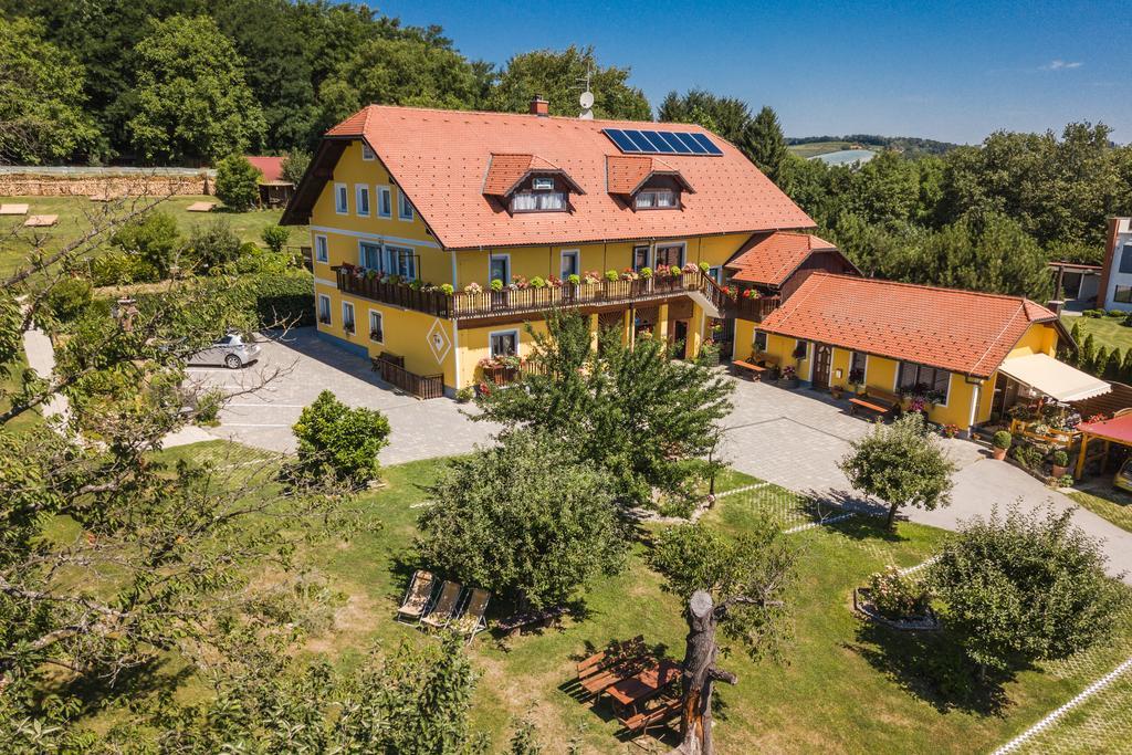 Panorama B&B Ptuj Exteriör bild
