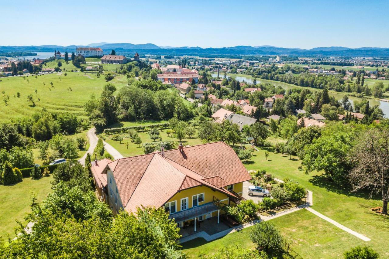 Panorama B&B Ptuj Exteriör bild