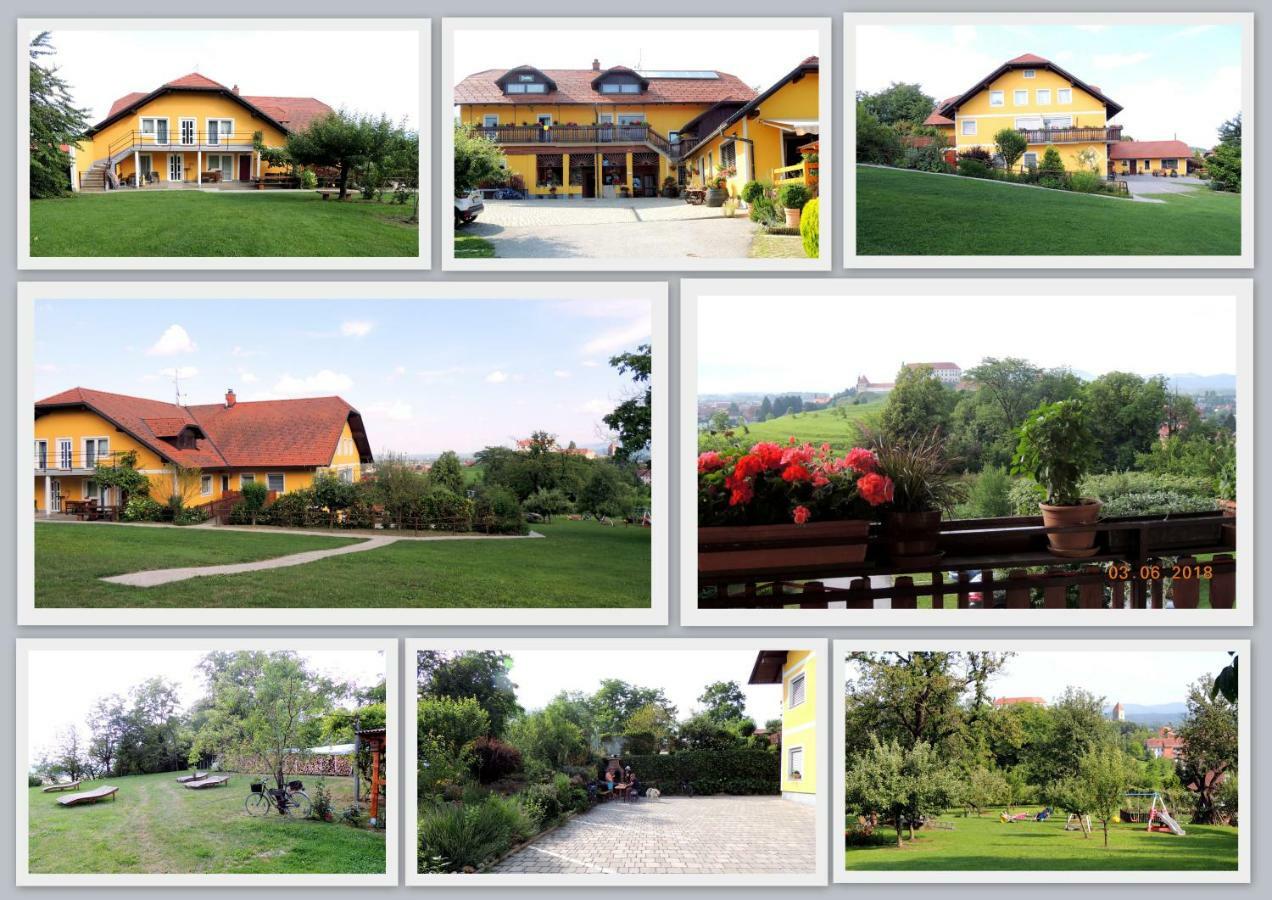 Panorama B&B Ptuj Exteriör bild