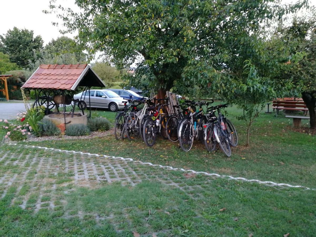 Panorama B&B Ptuj Exteriör bild