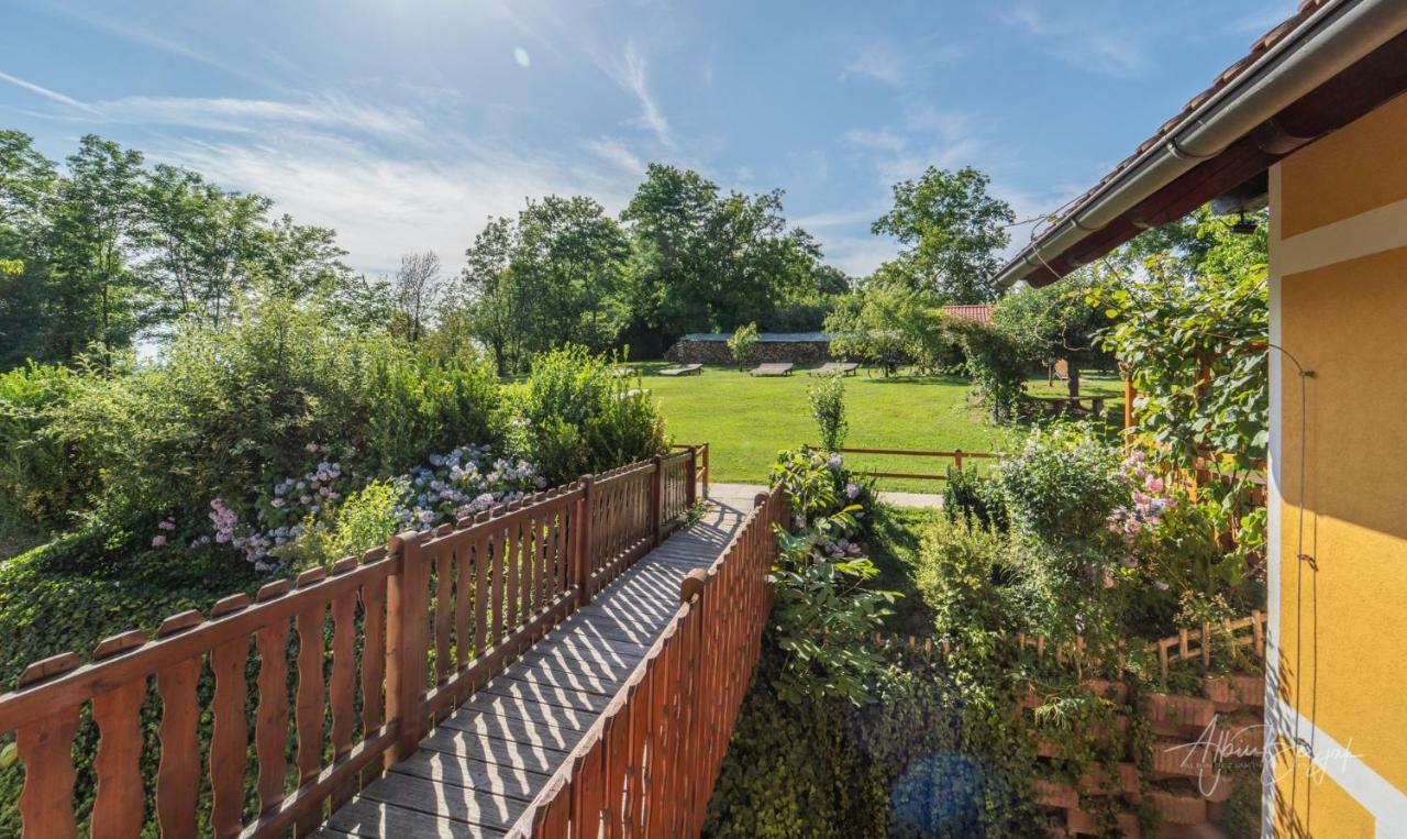 Panorama B&B Ptuj Exteriör bild